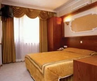 Palace فندق